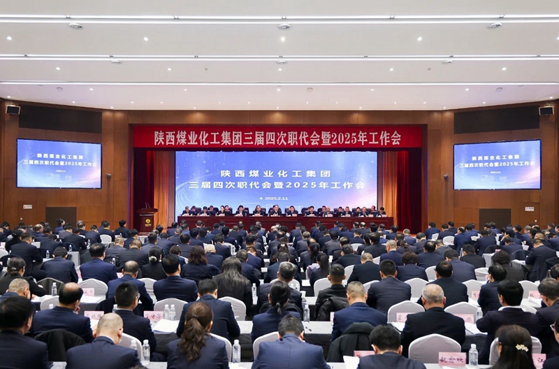 1739860949837984.jpeg 01.jpg