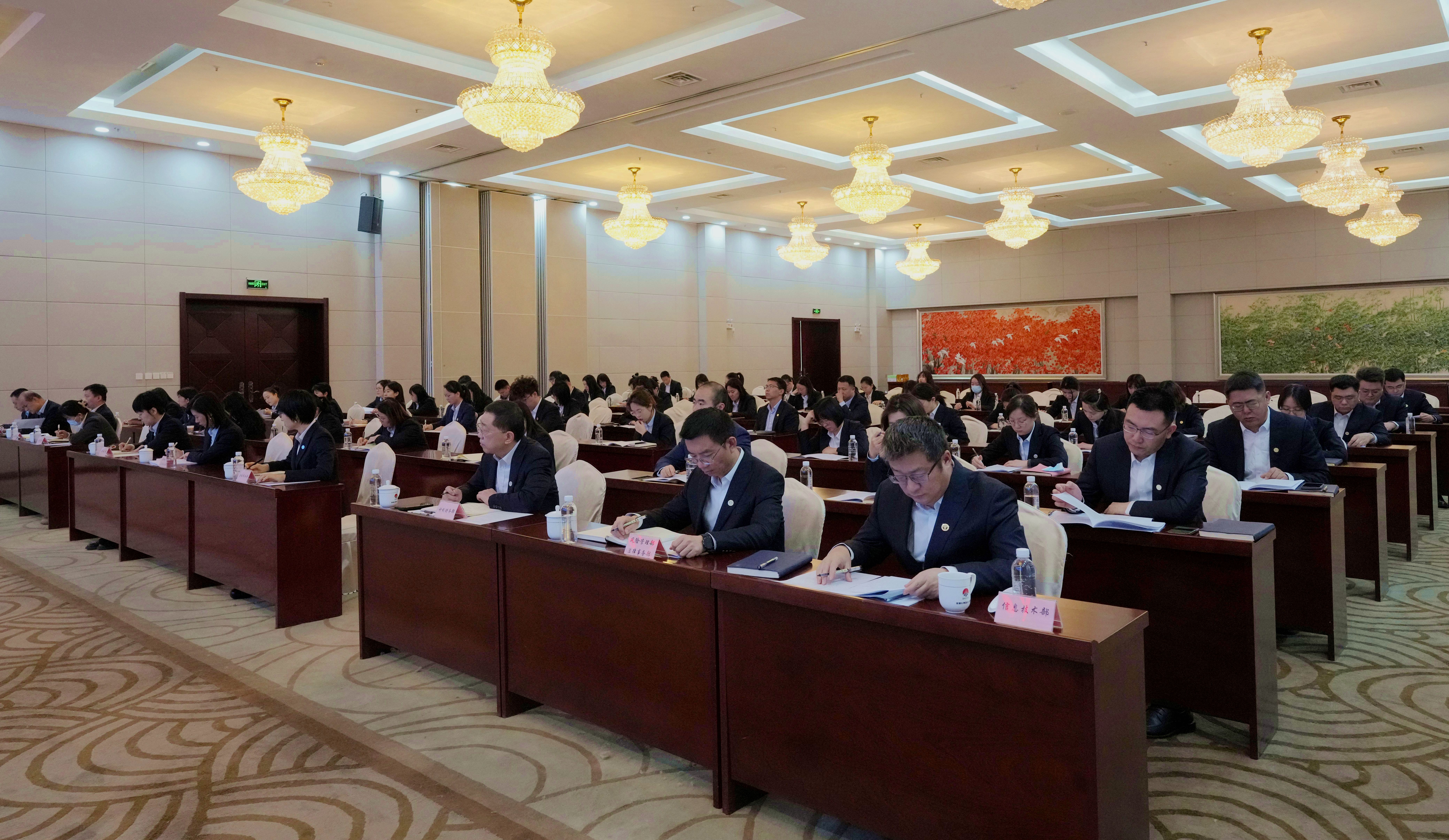 1740055218822544.jpeg DSC02217_副本_副本.jpg