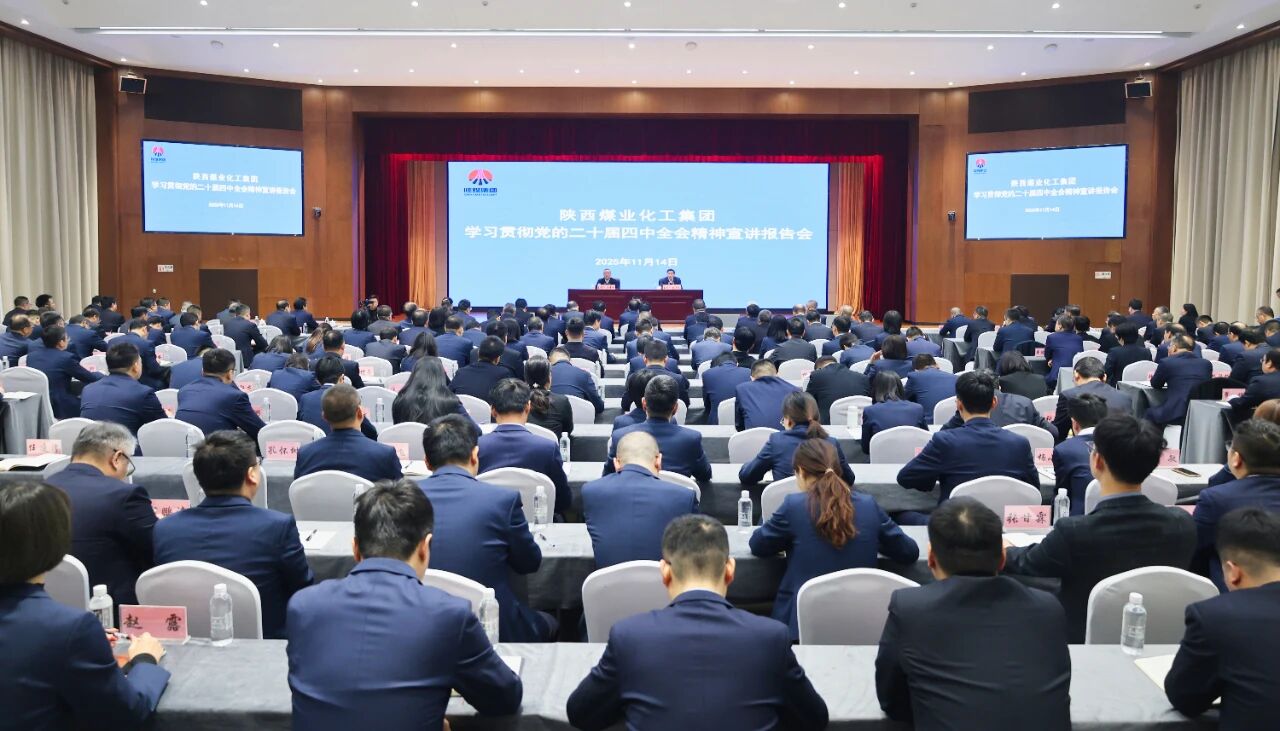 1763116638129102.jpeg 20251114184325_14352.jpg